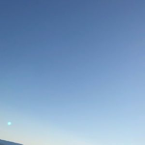 Meet your Posher, Dominic